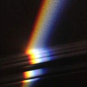 Meet your Posher, America